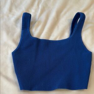 Aritzia Vibrant Blue Knitwear